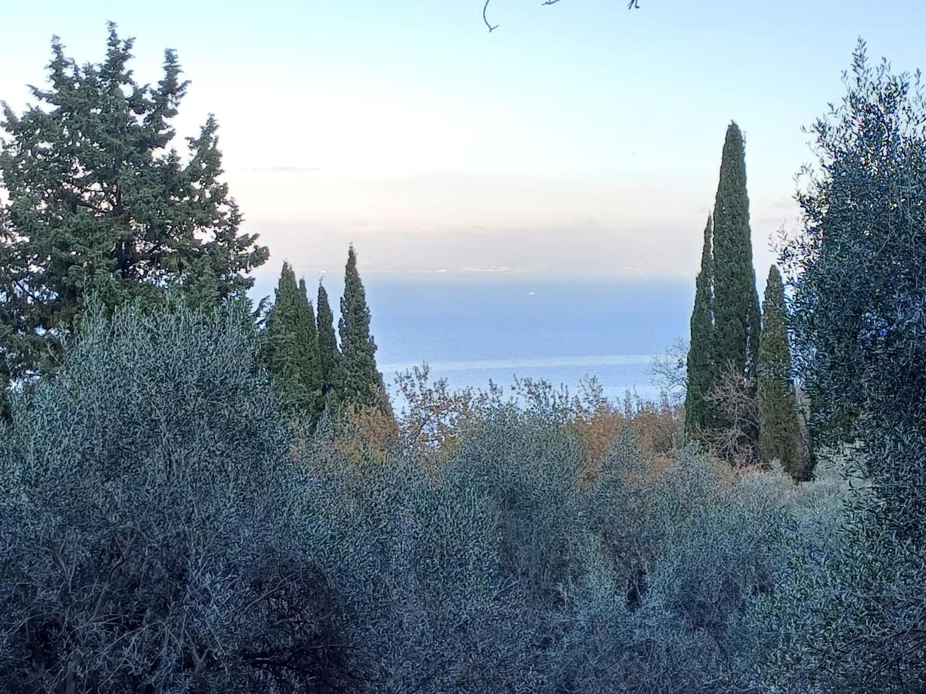 Flora Studios Corfu - Adults Only Benitses  Exterior foto