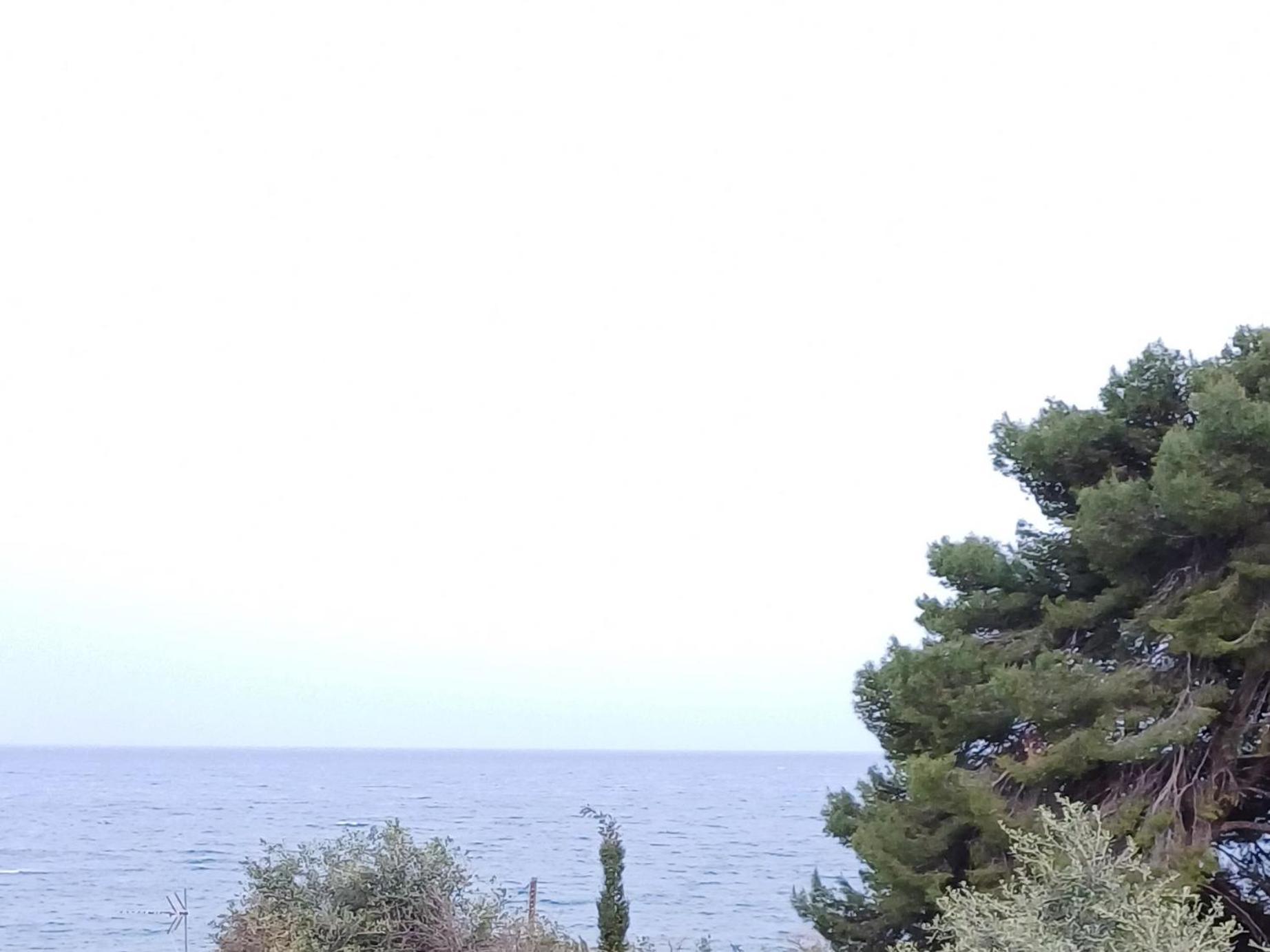 Flora Studios Corfu - Adults Only Benitses  Quarto foto