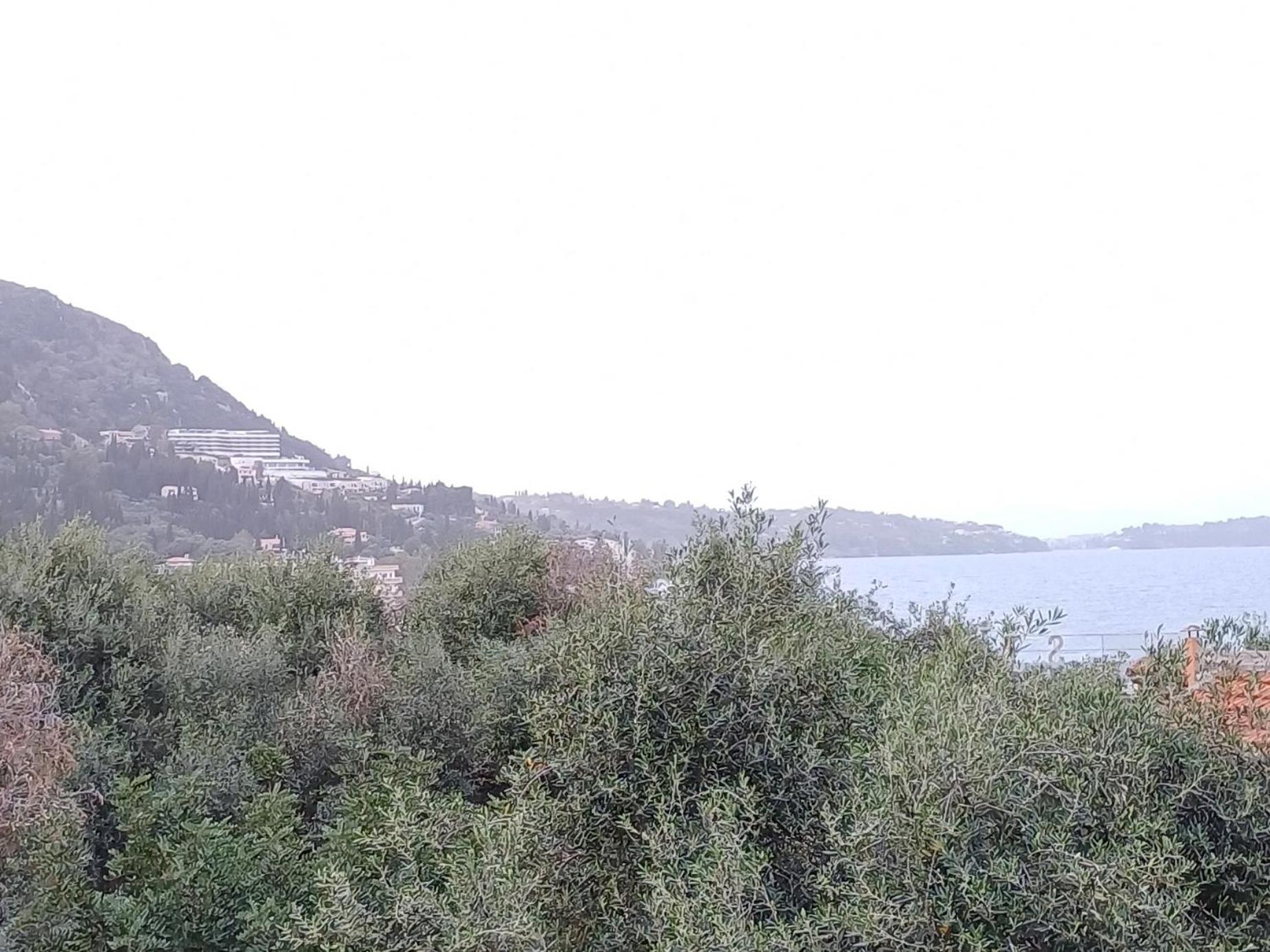 Flora Studios Corfu - Adults Only Benitses  Quarto foto
